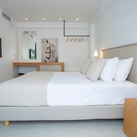 Luxury Elpis Villa Lefkada City
